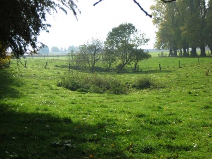 Bild 1 von Doline am Haxterberg